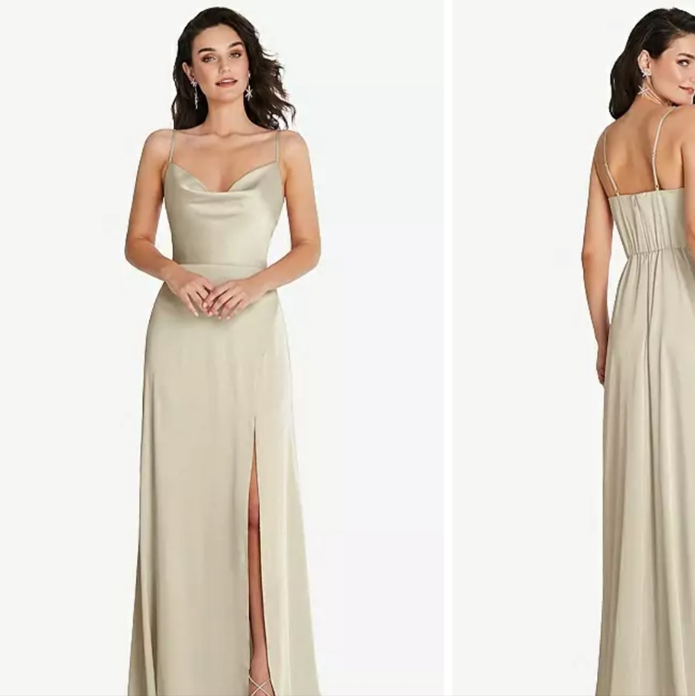 The Dessy Group Style TH098. Champagne Color. Never worn and not altered